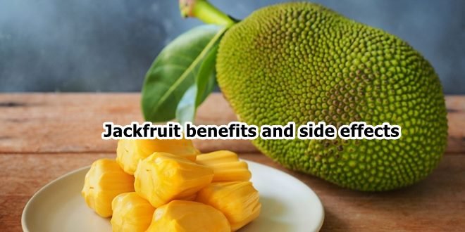 Jackfruit benefits and side effects