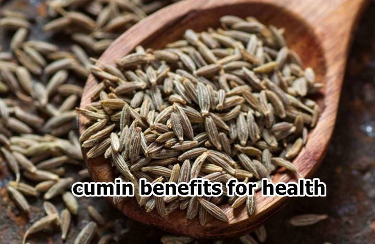 cumin water benefits for health