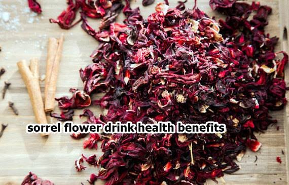 sorrel flower drink health benefits